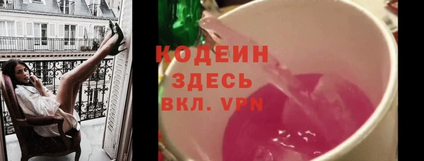 шишки Сясьстрой