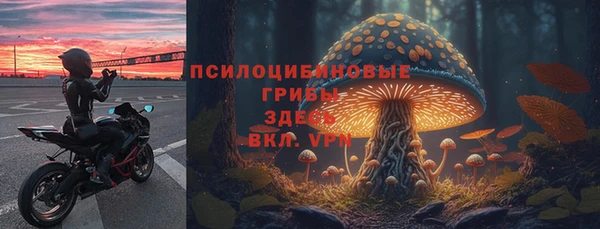 амф Бронницы