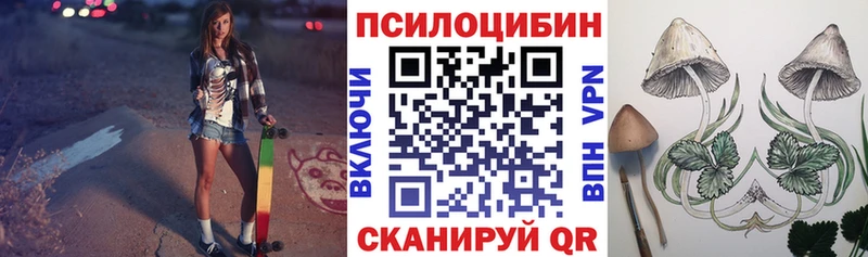 Галлюциногенные грибы Cubensis  блэк спрут онион  Лениногорск 